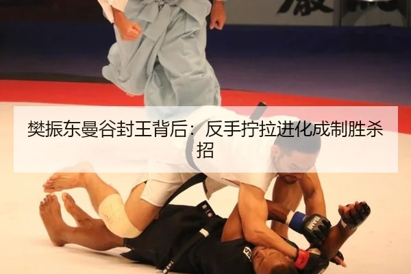 fan-zhen-dong-man-gu-feng-wang-bei-hou-fan-shou-ning-la-jin-hua-cheng-zhi-sheng-sha-zhao-2-891.jpg