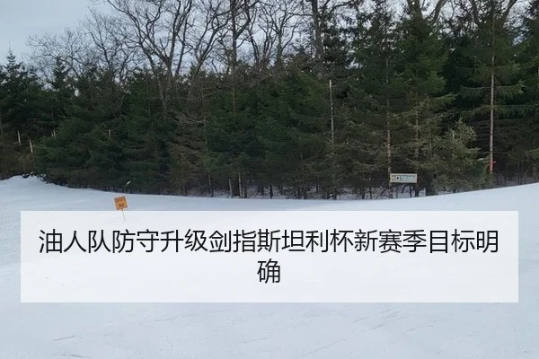 油人队防守升级剑指斯坦利杯新赛季目标明确